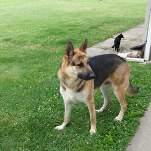 Meet your Posher, Christine